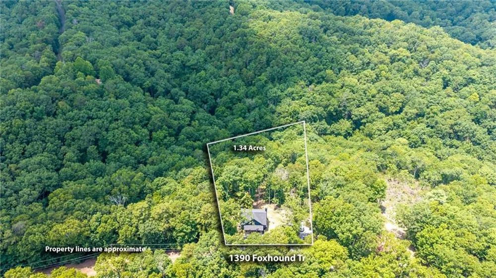 1390 Foxhound Trail NE Ranger, GA 30734