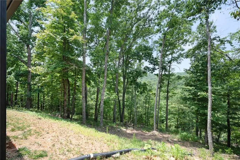 1390 Foxhound Trail NE Ranger, GA 30734
