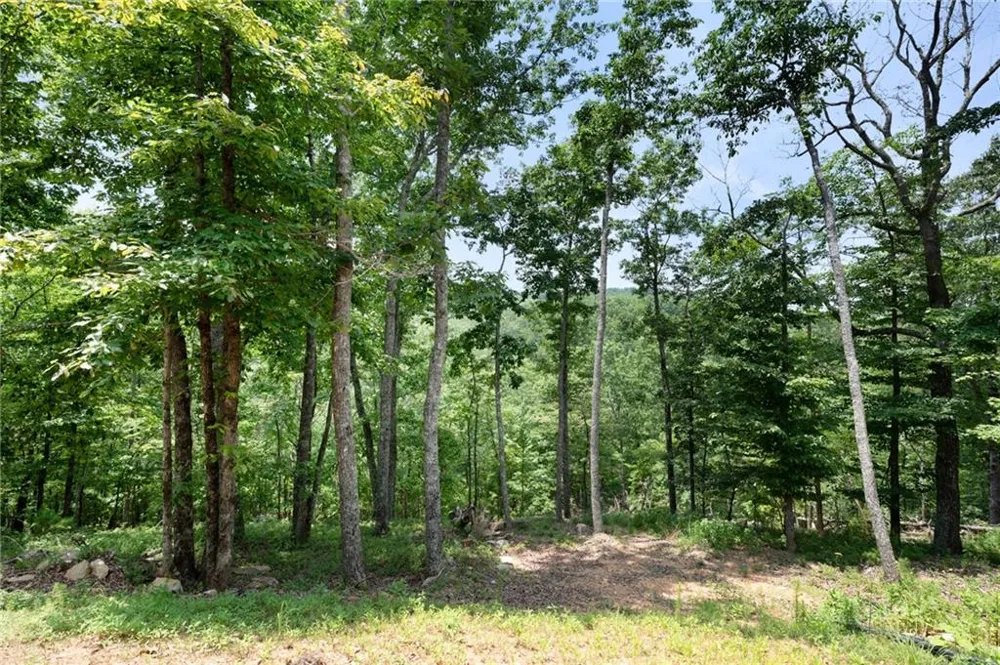 1390 Foxhound Trail NE Ranger, GA 30734