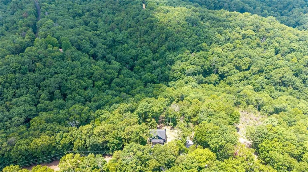 1390 Foxhound Trail NE Ranger, GA 30734