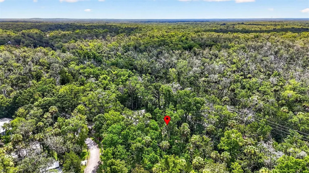 4600 S LEWOODS DRIVE Homosassa, FL 34448