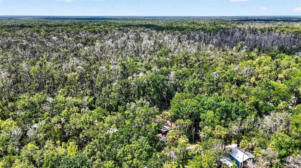 4600 S LEWOODS DRIVE Homosassa, FL 34448
