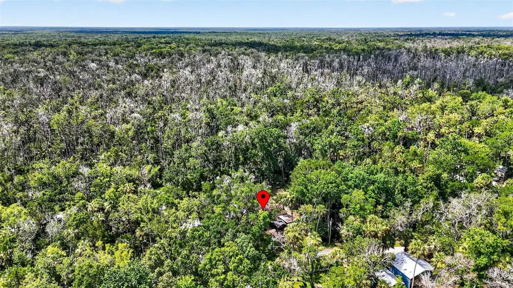 4600 S LEWOODS DRIVE Homosassa, FL 34448