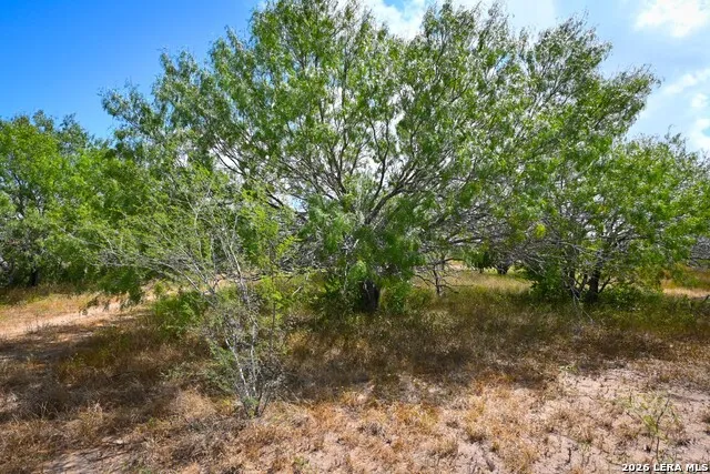16.29+/- ACRES County Road 158 Kenedy, TX 78119