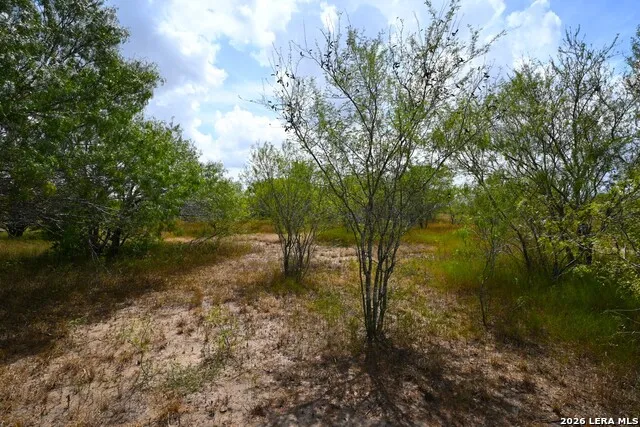 16.29+/- ACRES County Road 158 Kenedy, TX 78119