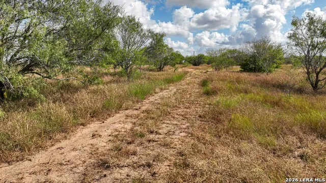 16.29+/- ACRES County Road 158 Kenedy, TX 78119