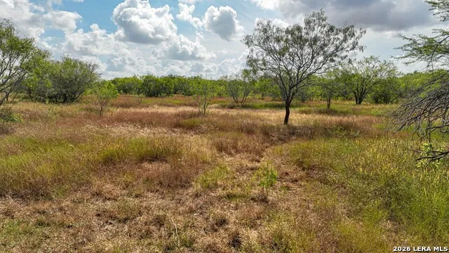 16.29+/- ACRES County Road 158 Kenedy, TX 78119