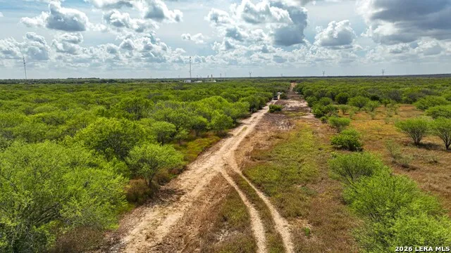 16.29+/- ACRES County Road 158 Kenedy, TX 78119