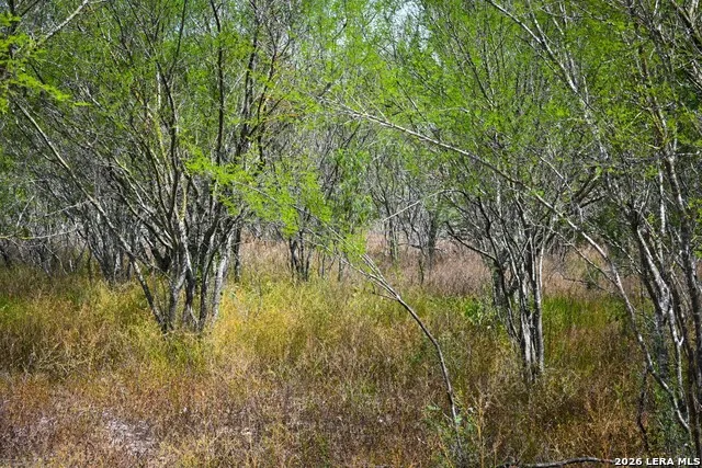 16.29+/- ACRES County Road 158 Kenedy, TX 78119