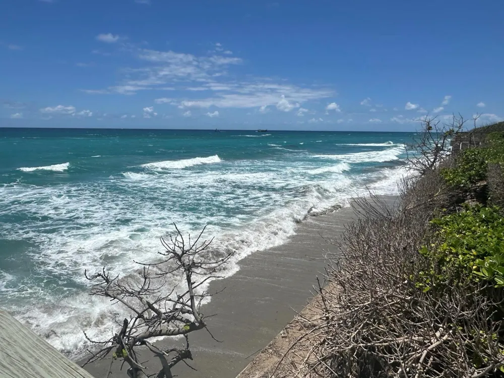 5380 Ocean Drive #4e Singer Island, FL 33404