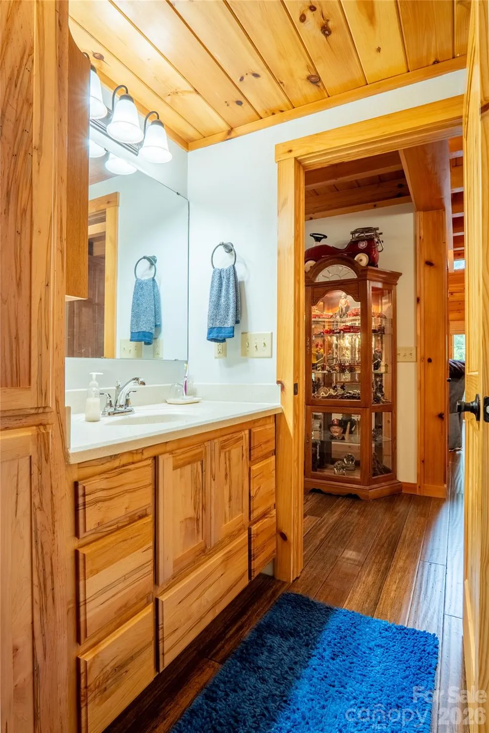 700 Howard Drive Lake Lure, NC 28746