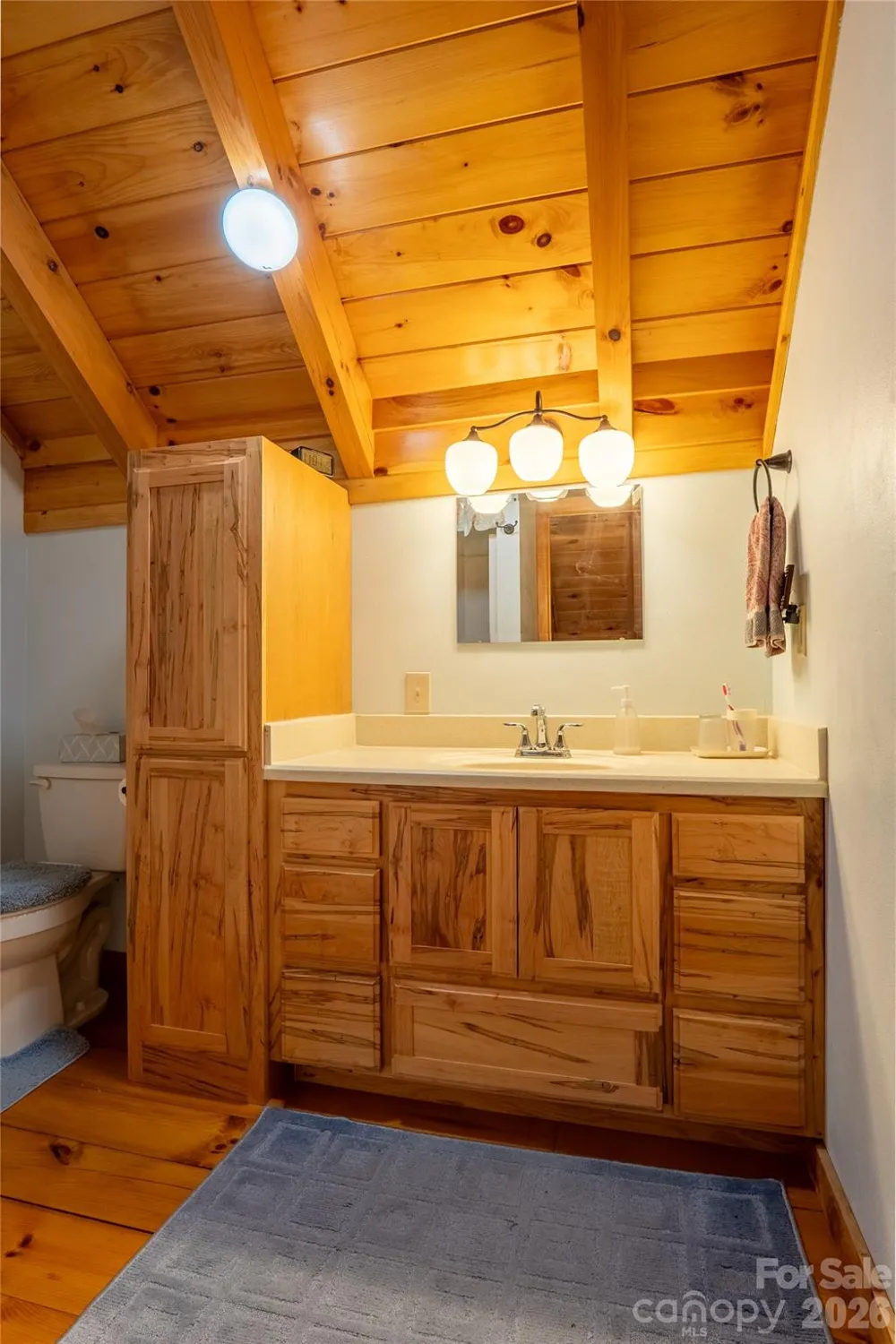 700 Howard Drive Lake Lure, NC 28746