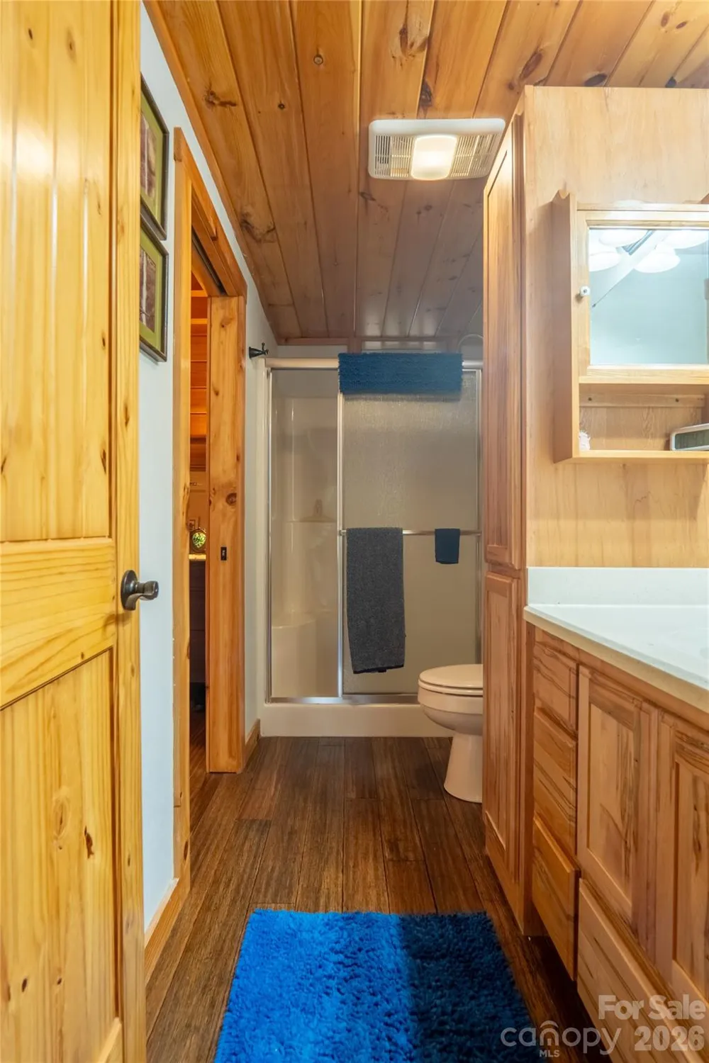 700 Howard Drive Lake Lure, NC 28746