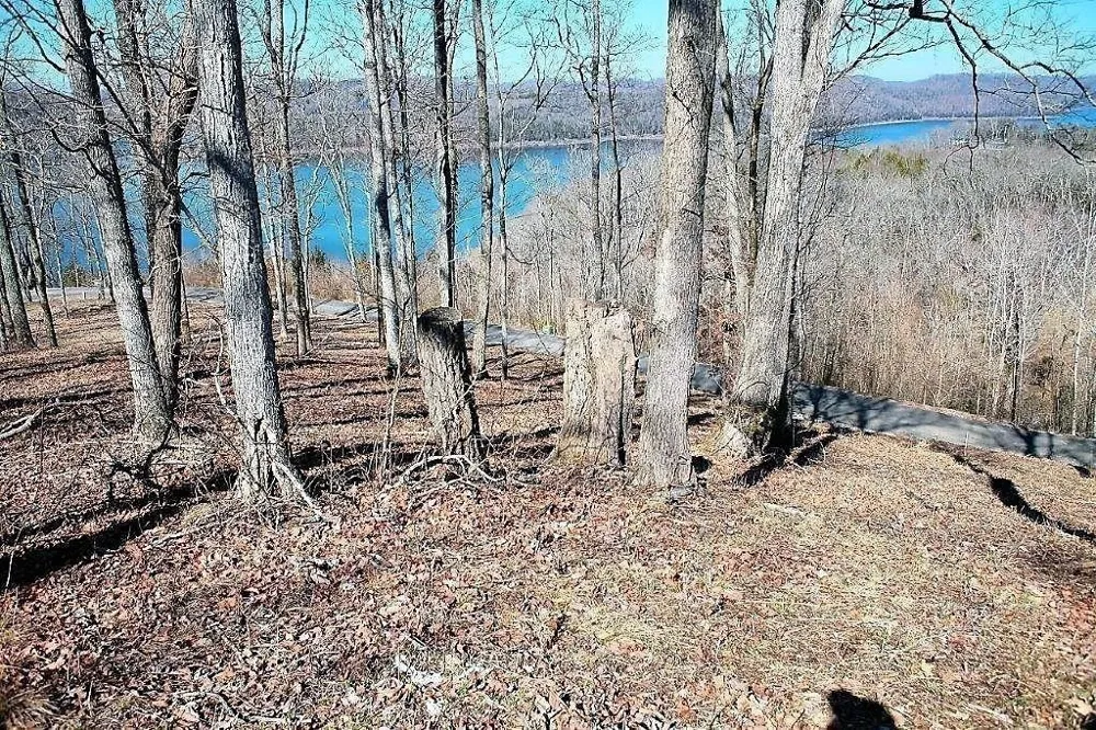 413 Maury Lane Smithville, TN 37166