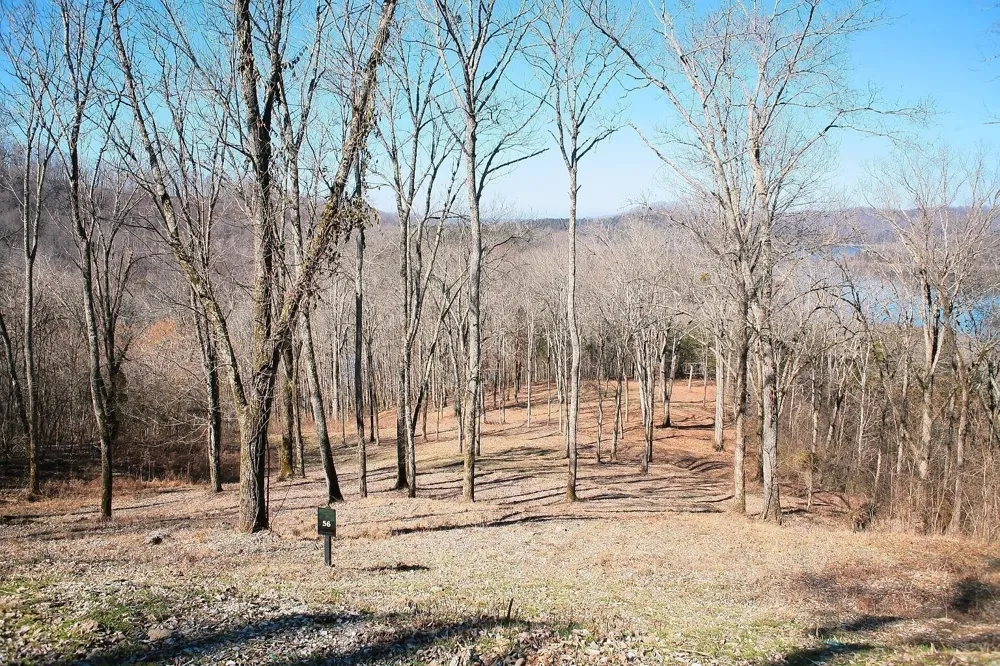 413 Maury Lane Smithville, TN 37166