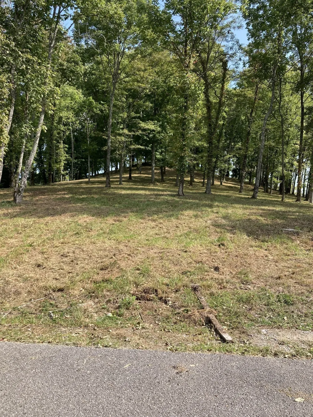 413 Maury Lane Smithville, TN 37166