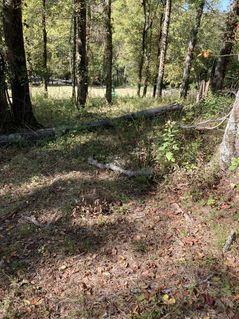 413 Maury Lane Smithville, TN 37166