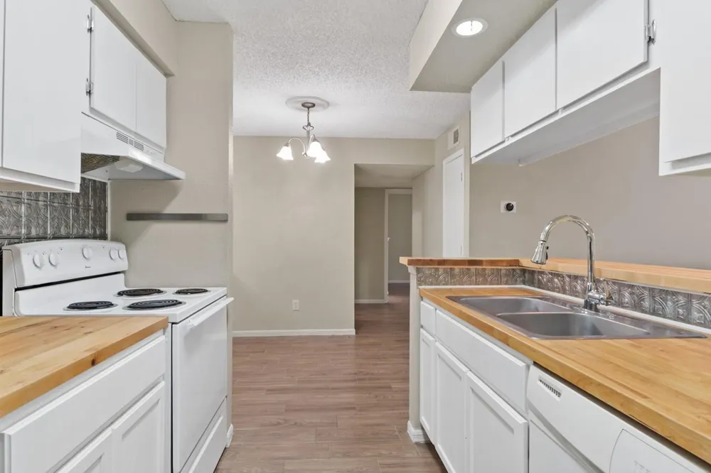 250 El Dorado Boulevard #259 Webster, TX 77598