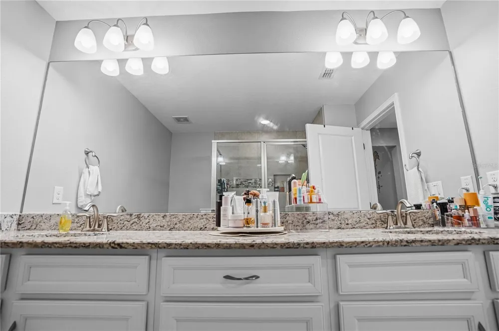 1309 SUNSET WIND LOOP Oldsmar, FL 34677