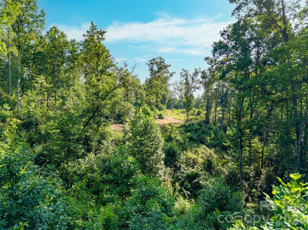 443 Polk County Line Road Rutherfordton, NC 28139