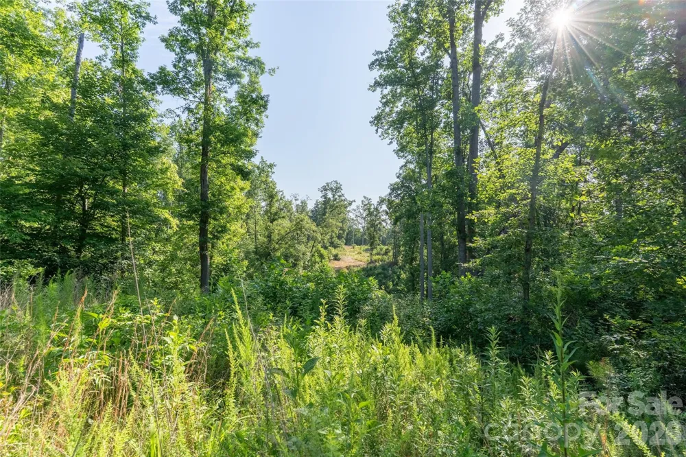 443 Polk County Line Road Rutherfordton, NC 28139