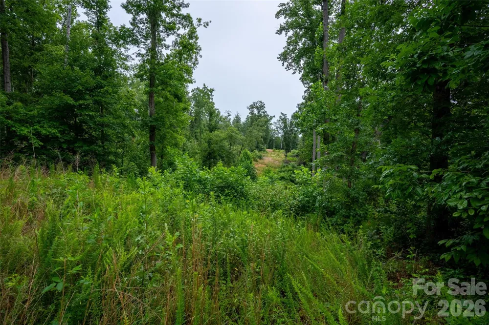 443 Polk County Line Road Rutherfordton, NC 28139