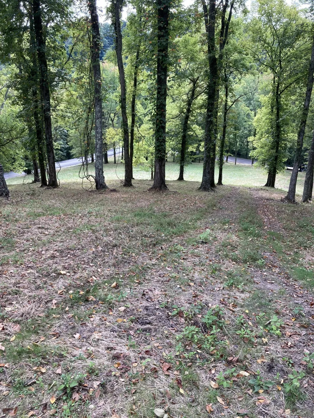 410 Wilson Circle Smithville, TN 37166