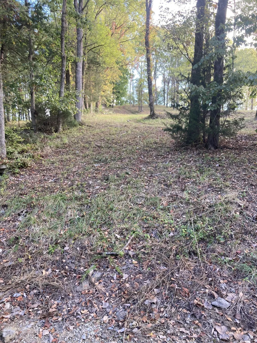 410 Wilson Circle Smithville, TN 37166