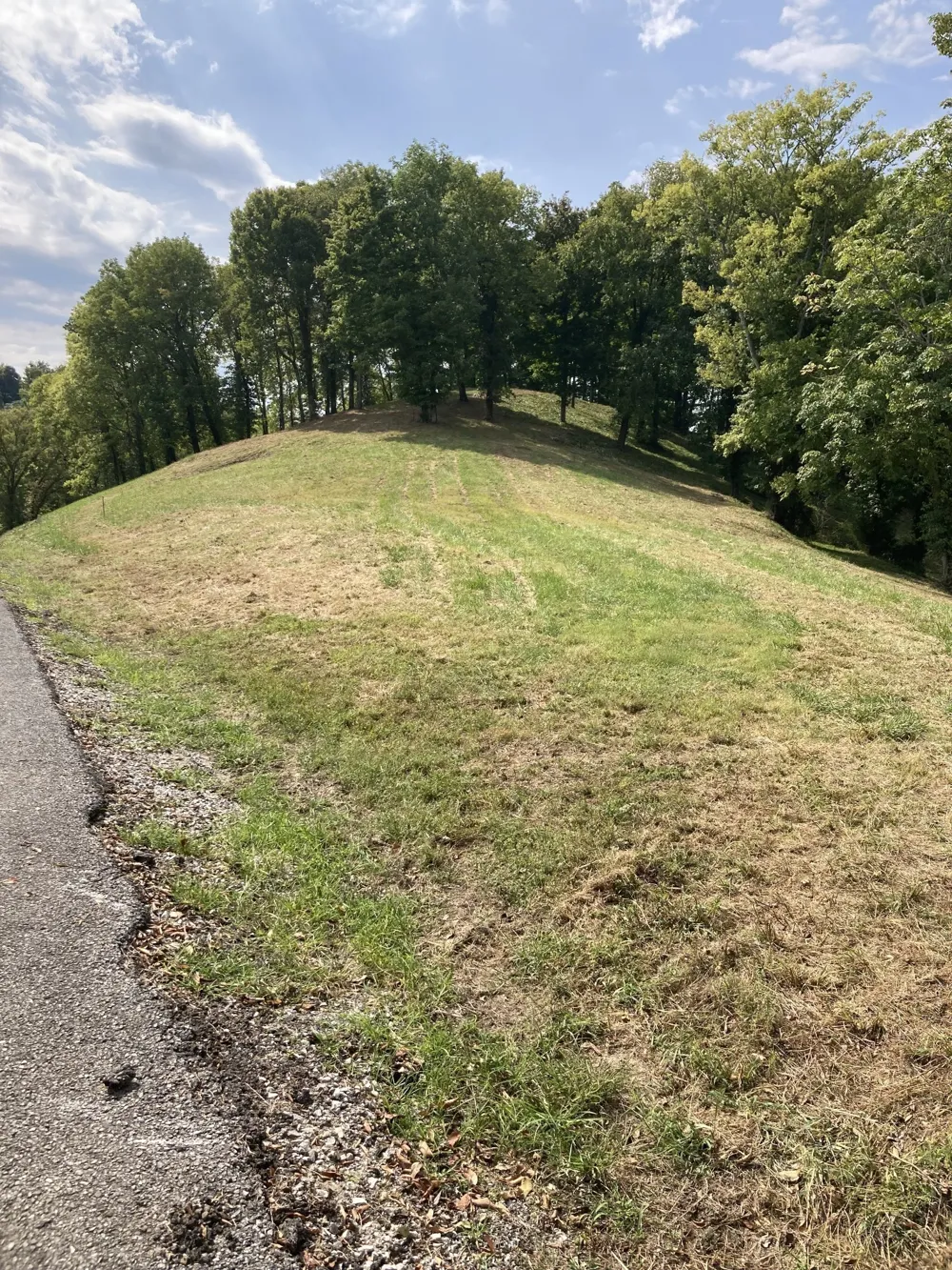 410 Wilson Circle Smithville, TN 37166