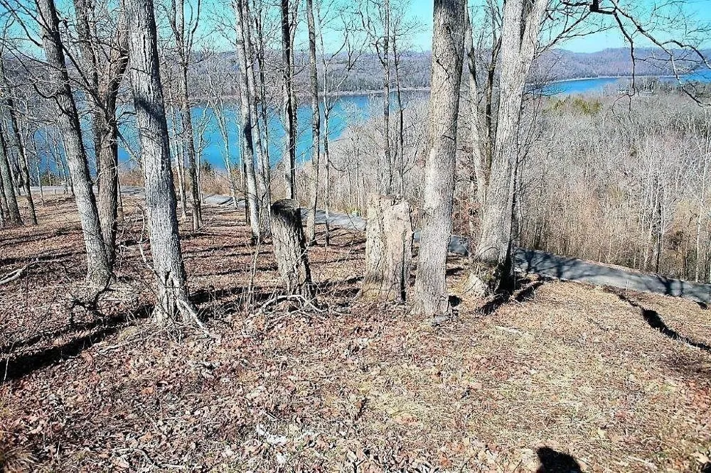 410 Wilson Circle Smithville, TN 37166