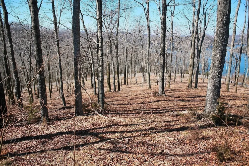 410 Wilson Circle Smithville, TN 37166