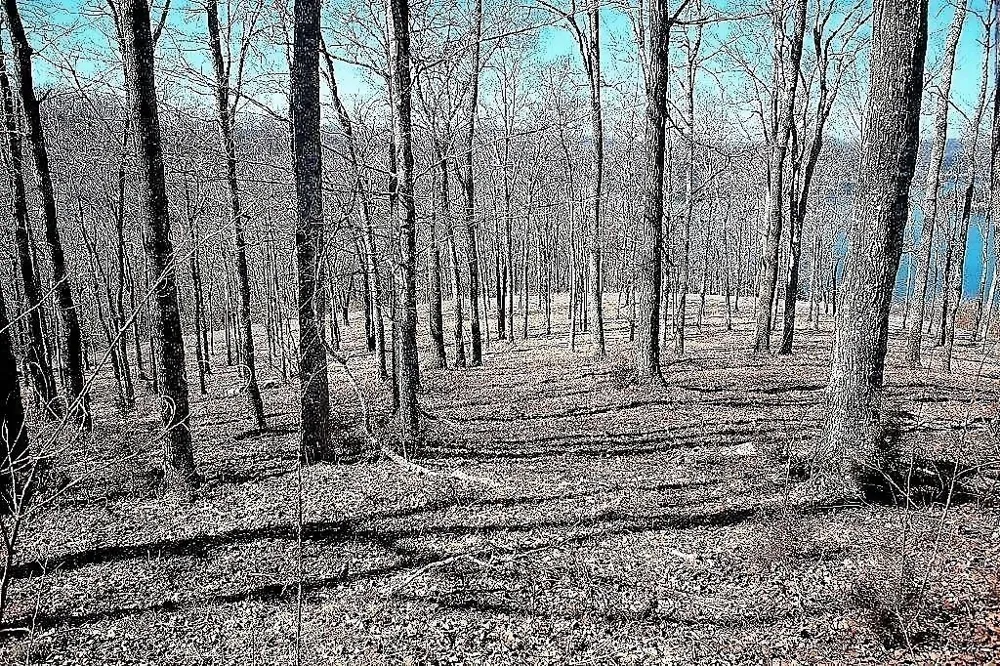 410 Wilson Circle Smithville, TN 37166