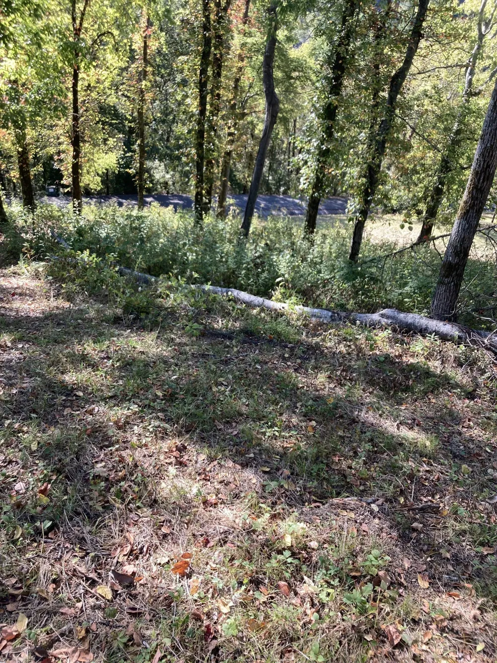 410 Wilson Circle Smithville, TN 37166