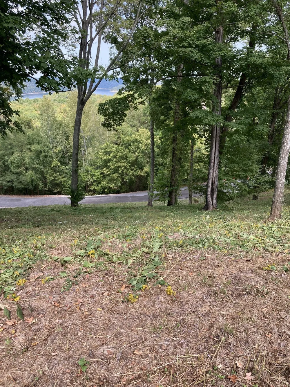 410 Wilson Circle Smithville, TN 37166