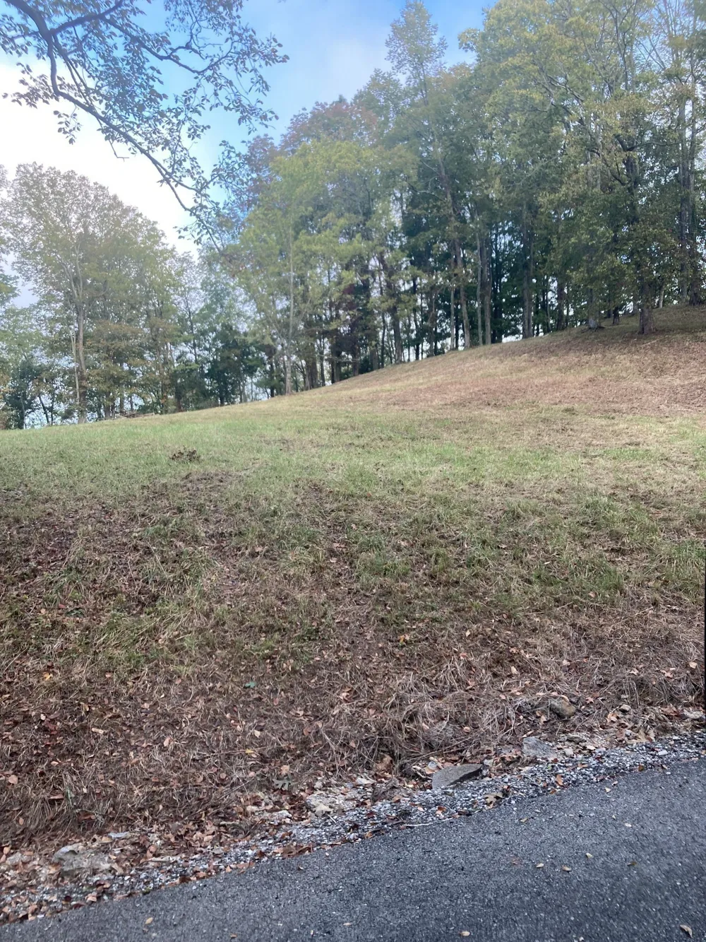 410 Wilson Circle Smithville, TN 37166