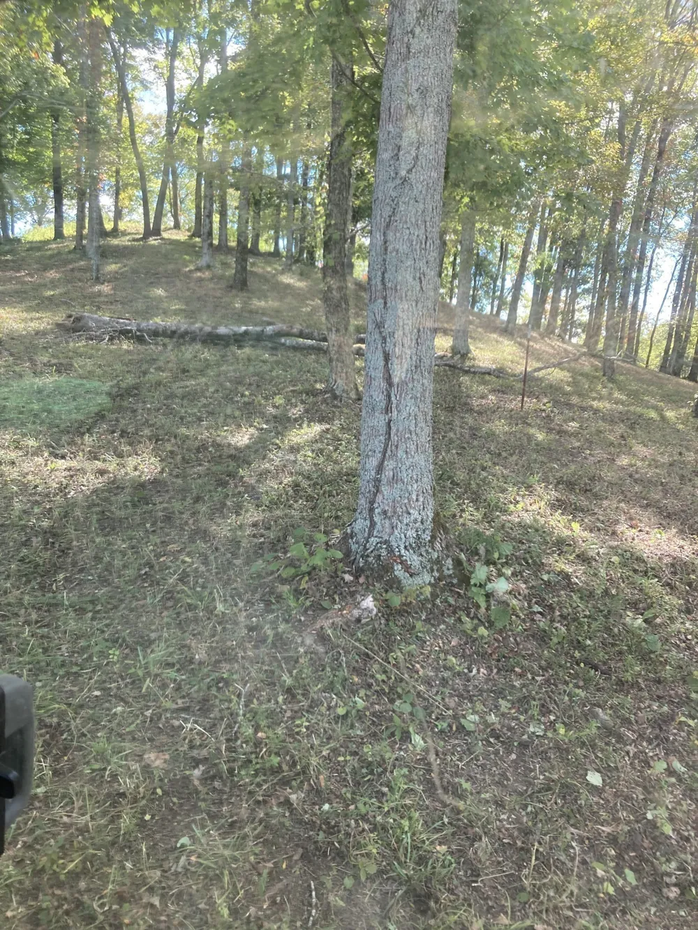 410 Wilson Circle Smithville, TN 37166