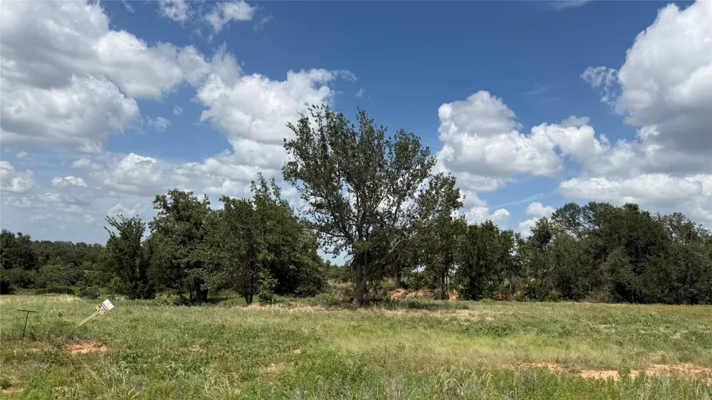 1173 Gonzollas Road Springtown, TX 76082