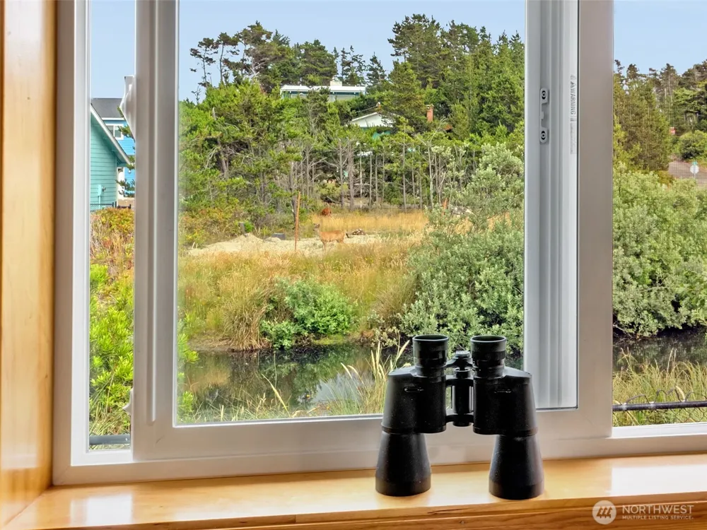 30406 H STREET Ocean Park, WA 98640