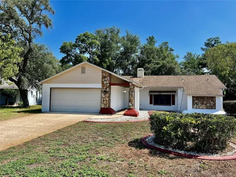 8205 PAGODA DRIVE