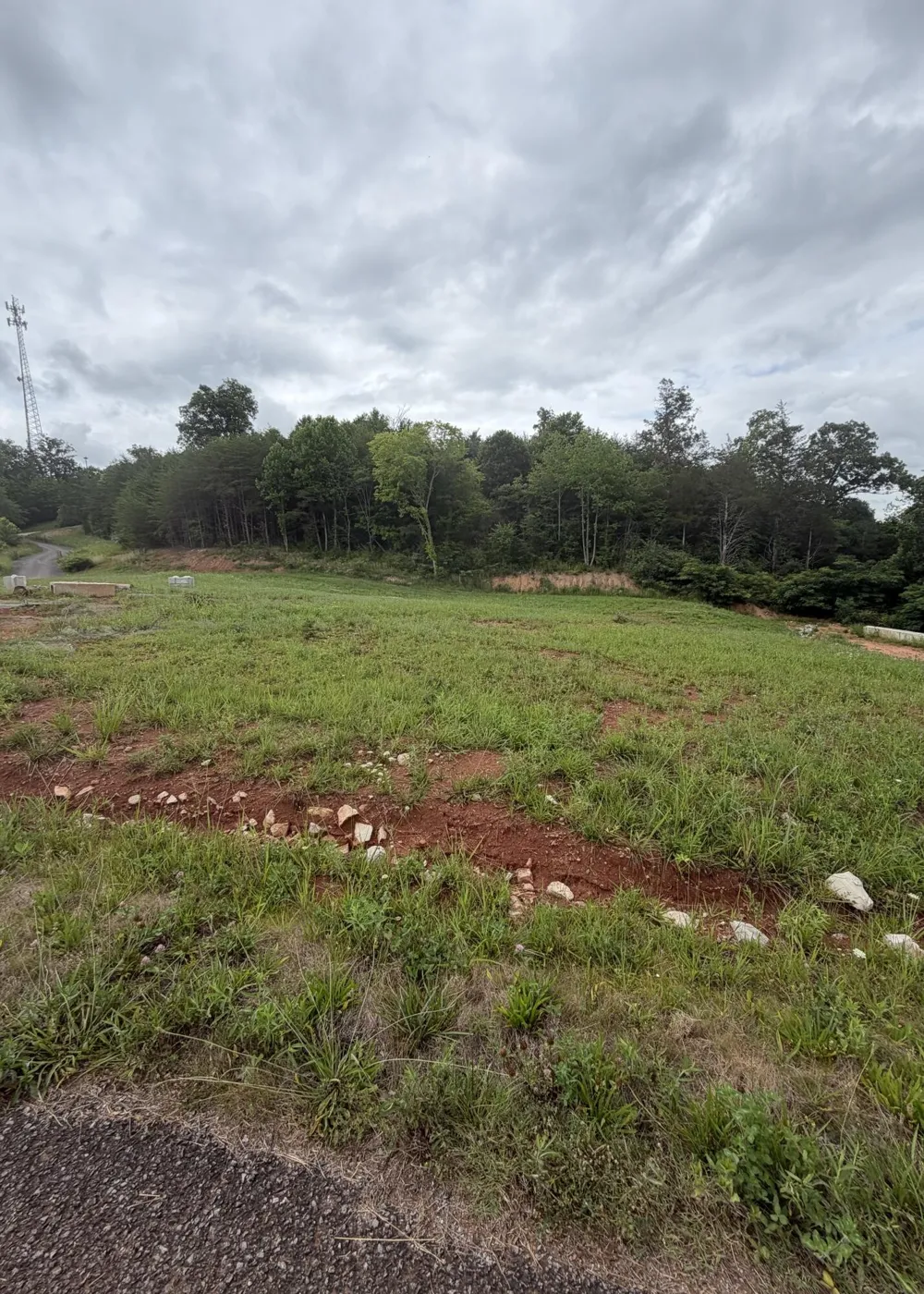 0 Bear Lane Tellico Plains, TN 37385