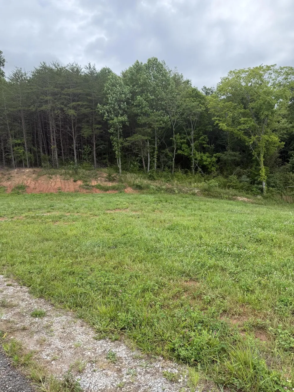 0 Bear Lane Tellico Plains, TN 37385