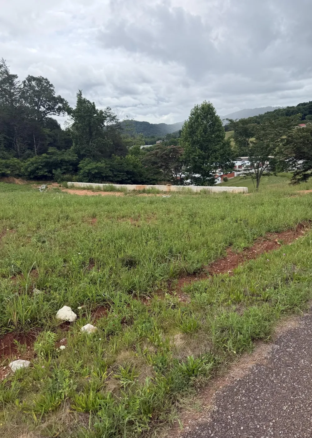 0 Bear Lane Tellico Plains, TN 37385