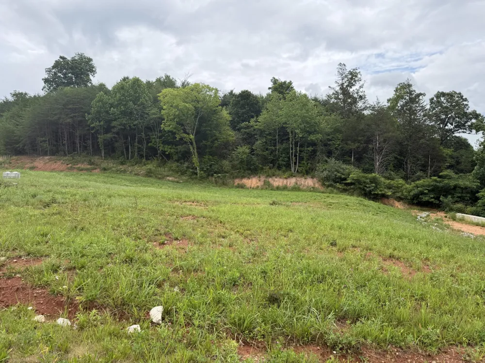 0 Bear Lane Tellico Plains, TN 37385