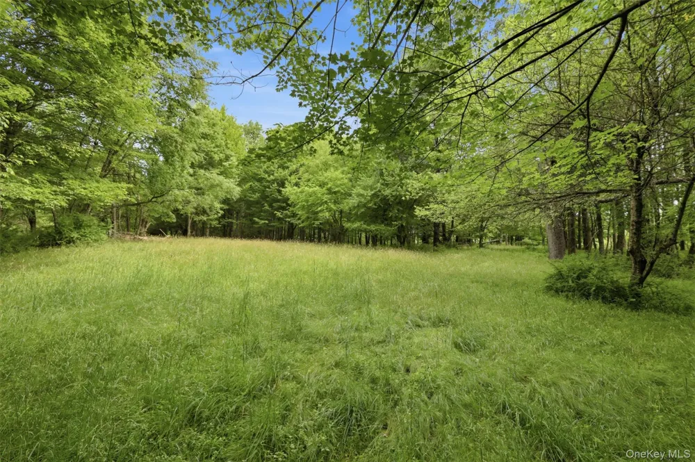 115 Cold Spring Road Liberty, NY 12754