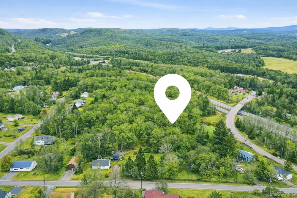 115 Cold Spring Road Liberty, NY 12754