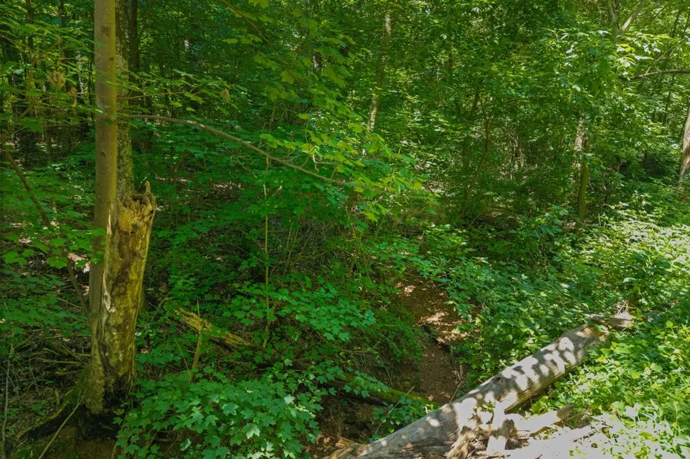 0 Randolph Fridley Road Sweetwater, TN 37874