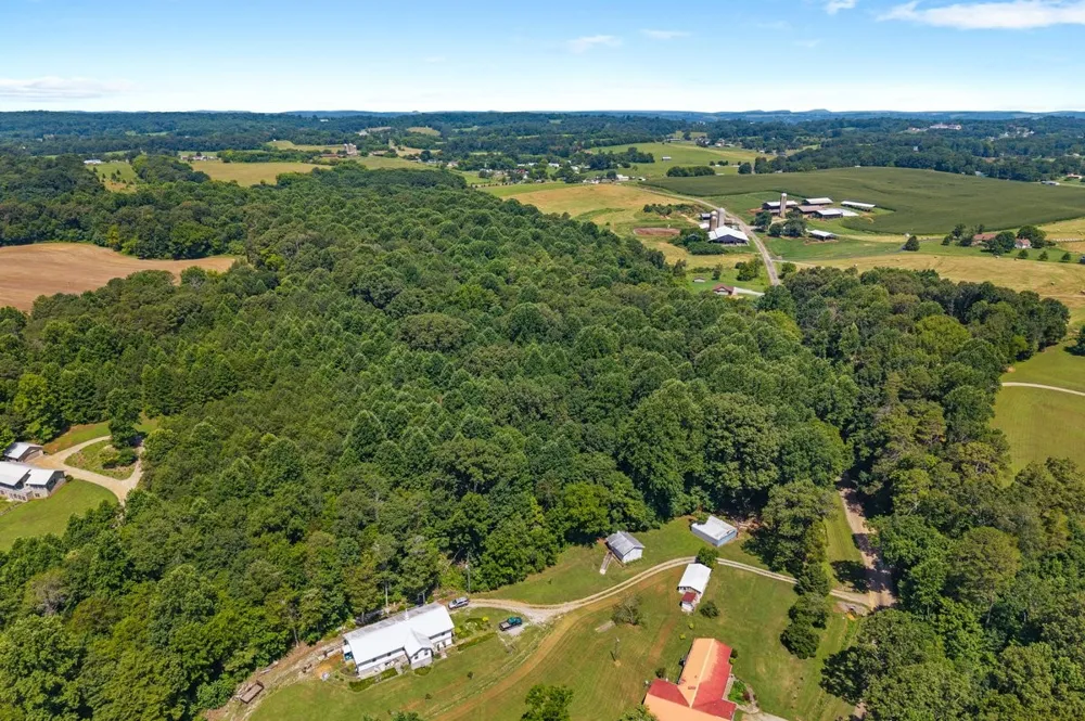 0 Randolph Fridley Road Sweetwater, TN 37874