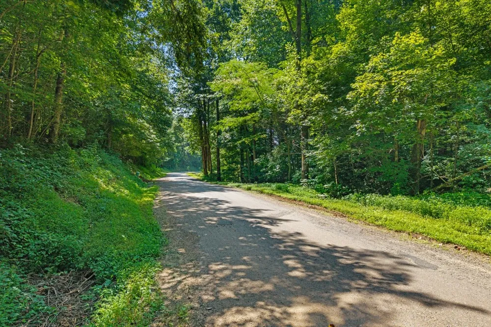 0 Randolph Fridley Road Sweetwater, TN 37874