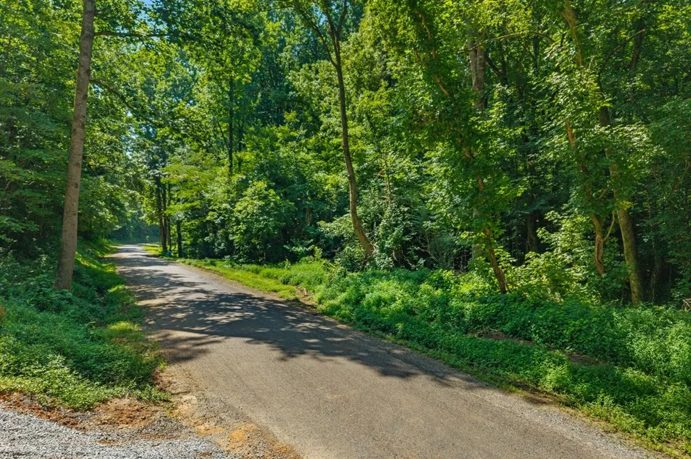 0 Randolph Fridley Road Sweetwater, TN 37874