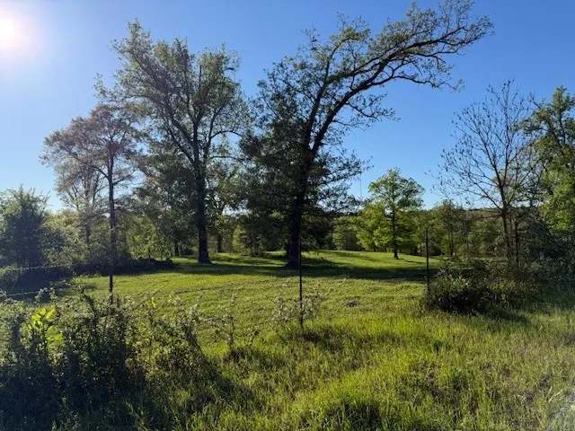 434 Walnut Creek Road Simsboro, LA 71275